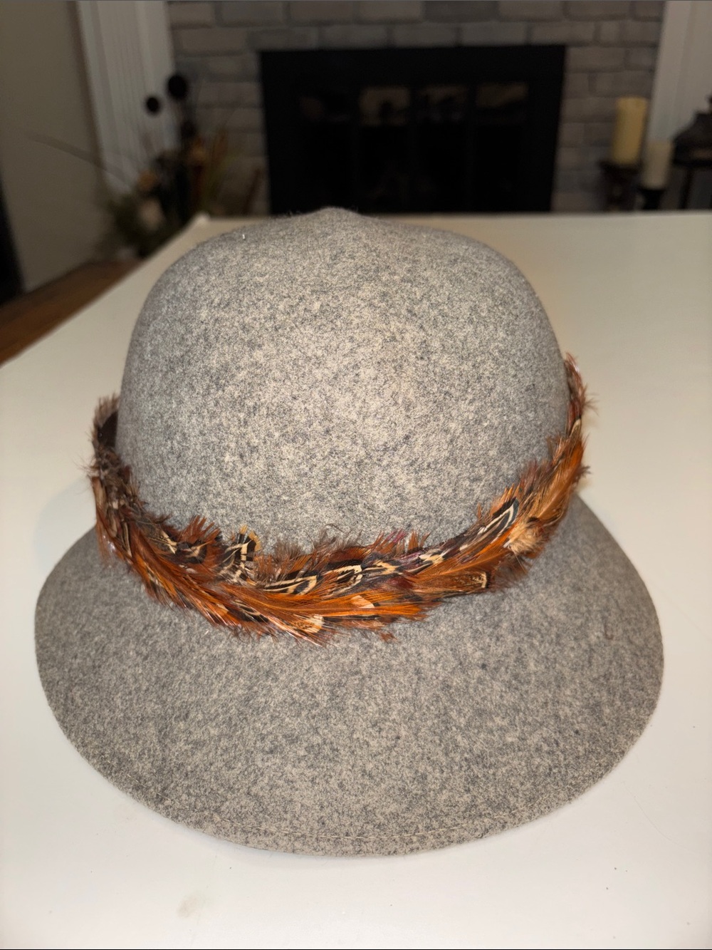 Geo W. Bollmans Co. Doeskin Gray Wool Felt Cloche Hat with Feather Trim